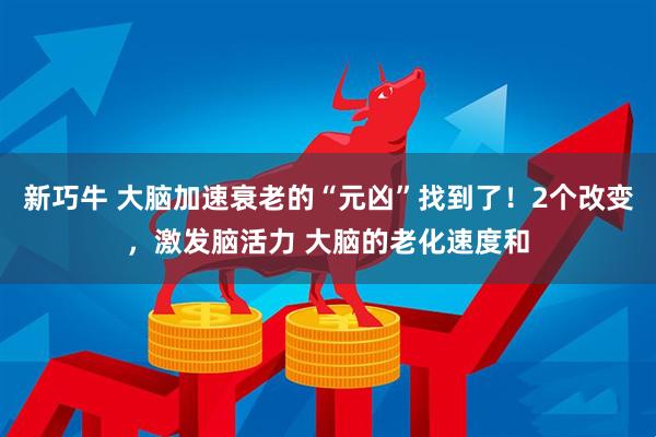 新巧牛 大脑加速衰老的“元凶”找到了!2个改变,激发脑活力 大脑的老化速度和