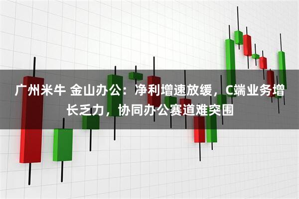 广州米牛 金山办公：净利增速放缓，C端业务增长乏力，协同办公赛道难突围