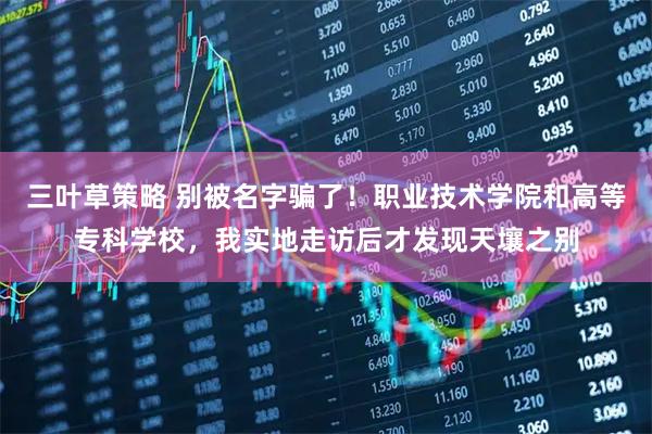 三叶草策略 别被名字骗了！职业技术学院和高等专科学校，我实地走访后才发现天壤之别