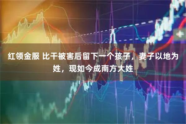 红领金服 比干被害后留下一个孩子,妻子以地为姓,现如今成南方大姓