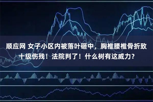 顺应网 女子小区内被落叶砸中，胸椎腰椎骨折致十级伤残！法院判了！什么树有这威力？