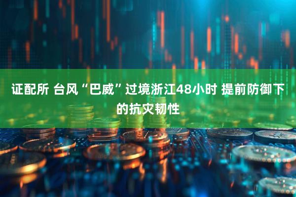 证配所 台风“巴威”过境浙江48小时 提前防御下的抗灾韧性
