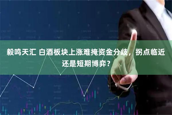 毅鸣天汇 白酒板块上涨难掩资金分歧，拐点临近还是短期博弈？