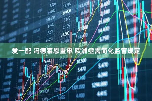 爱一配 冯德莱恩重申 欧洲亟需简化监管规定