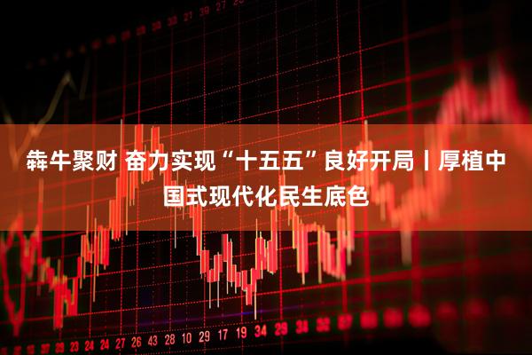 犇牛聚财 奋力实现“十五五”良好开局丨厚植中国式现代化民生底色