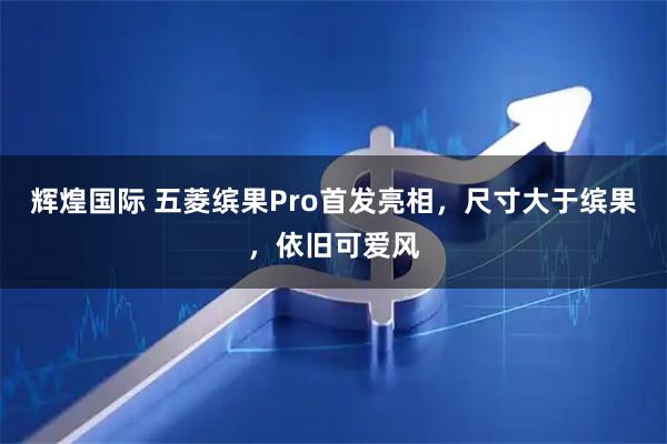 辉煌国际 五菱缤果Pro首发亮相，尺寸大于缤果，依旧可爱风