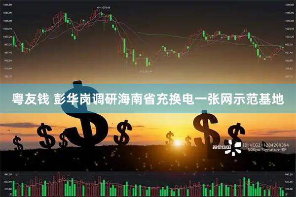 粤友钱 彭华岗调研海南省充换电一张网示范基地