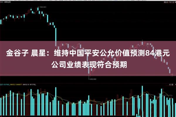 金谷子 晨星：维持中国平安公允价值预测84港元 公司业绩表现符合预期
