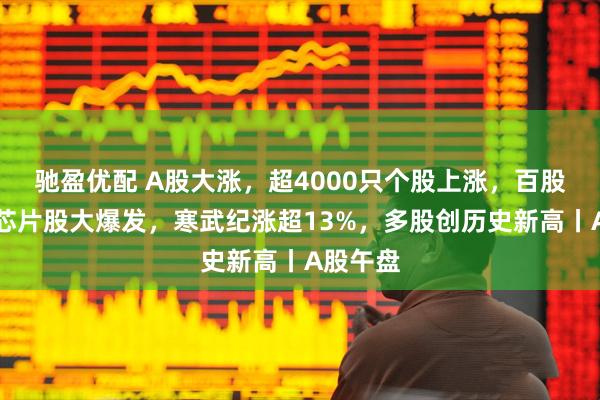 驰盈优配 A股大涨，超4000只个股上涨，百股涨停！芯片股大爆发，寒武纪涨超13%，多股创历史新高丨A股午盘