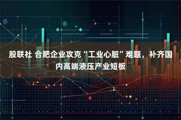股联社 合肥企业攻克“工业心脏”难题，补齐国内高端液压产业短板